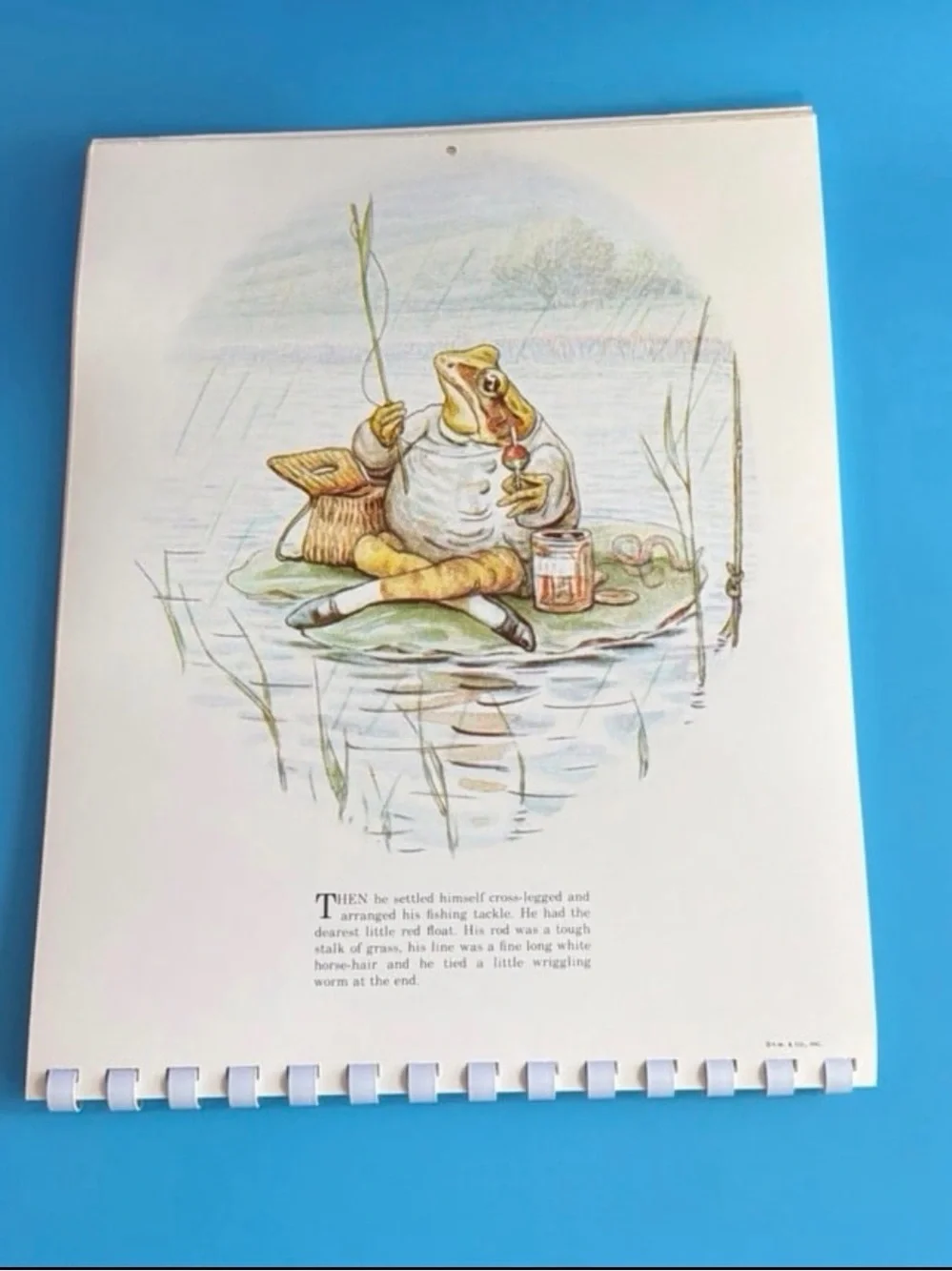 VTG 1975 Beatrix Potter Appointment Unused Calendar Published Frederick Warne